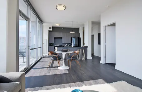 2 Bedroom South Loop Apartment