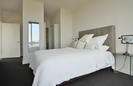 2 Bedroom South Loop Apartment