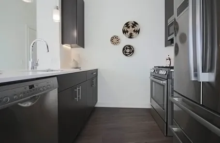 1 Bedroom Streeterville Apartment
