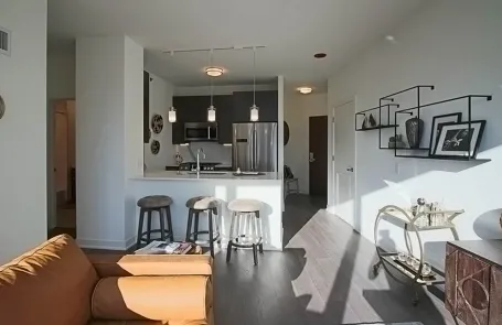 1 Bedroom Streeterville Apartment