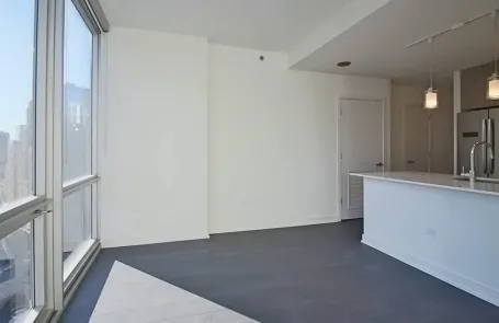 Studio Streeterville Apartment