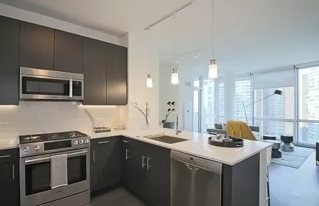 1 Bedroom Streeterville Apartment