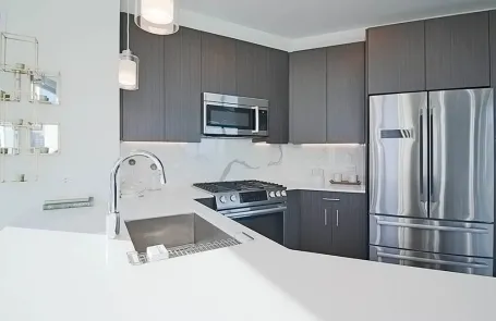 2 Bedroom Streeterville Apartment