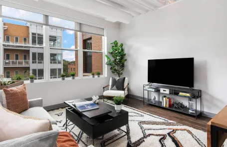 1 Bedroom Lakeview Apartment