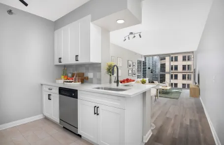 1 Bedroom Chicago Loop Apartment