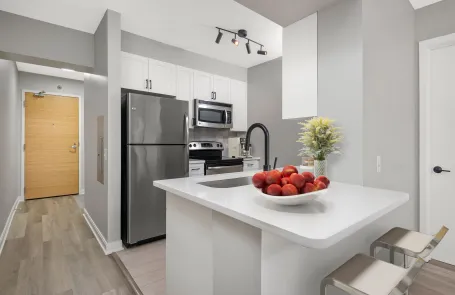 1 Bedroom Chicago Loop Apartment