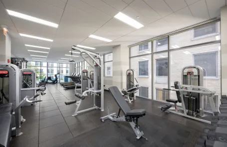 1 Bedroom Chicago Loop Apartment