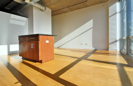 1 Bedroom South Loop Apartment
