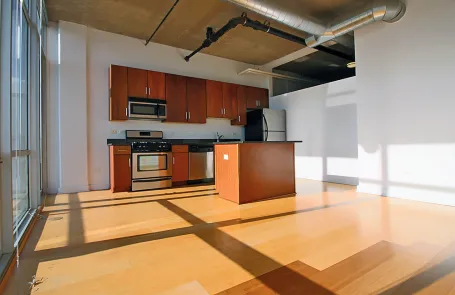 1 Bedroom South Loop Apartment