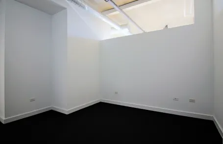 1 Bedroom South Loop Apartment