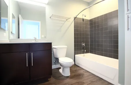 1 Bedroom South Loop Apartment