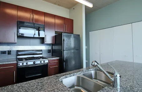 1 Bedroom South Loop Apartment