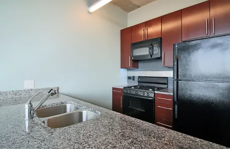 1 Bedroom South Loop Apartment