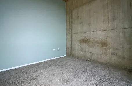 1 Bedroom South Loop Apartment