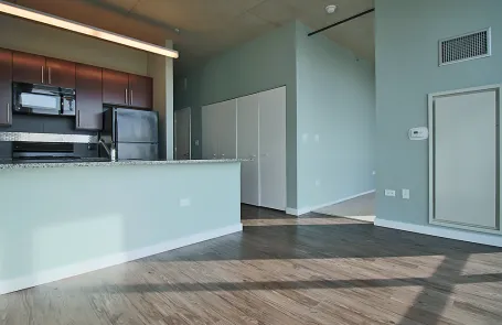 1 Bedroom South Loop Apartment