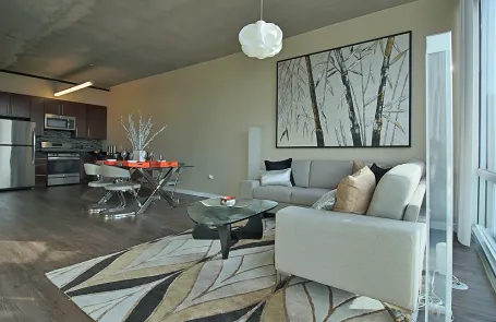 1 Bedroom South Loop Apartment