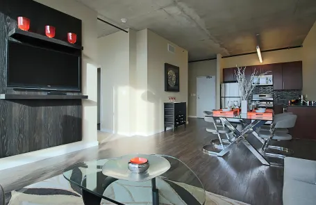 1 Bedroom South Loop Apartment