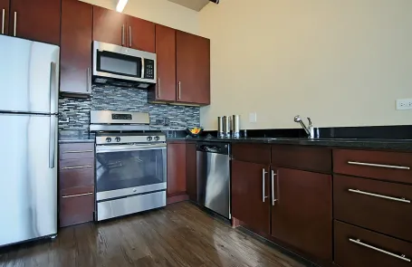 1 Bedroom South Loop Apartment