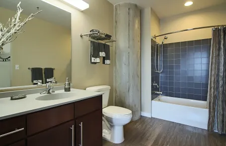 1 Bedroom South Loop Apartment