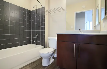 2 Bedroom South Loop Apartment