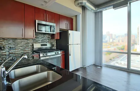 2 Bedroom South Loop Apartment