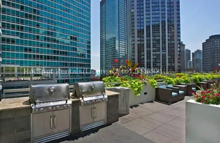 1 Bedroom Streeterville Apartment
