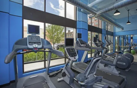 1 Bedroom South Loop Apartment