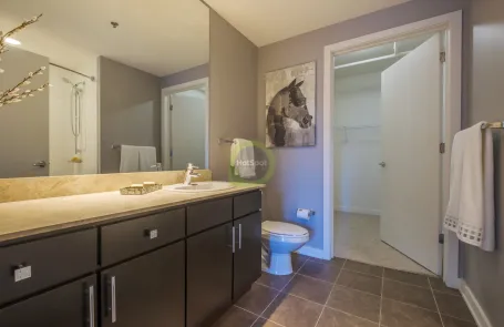 1 Bedroom River North Apartment