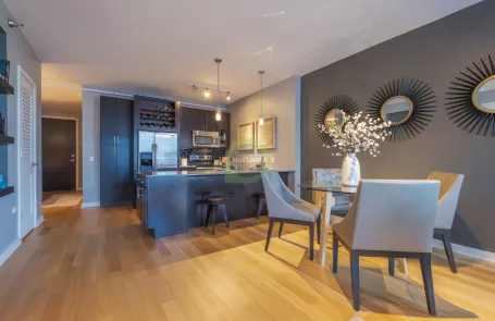 1 Bedroom River North Apartment