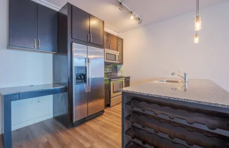 1 Bedroom River North Apartment