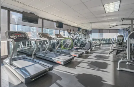 1 Bedroom Streeterville Apartment