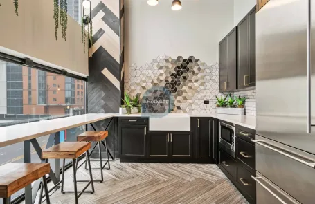 1 Bedroom South Loop Apartment