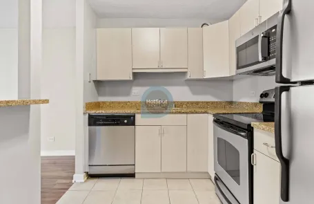 1 Bedroom South Loop Apartment