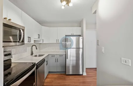 1 Bedroom South Loop Apartment