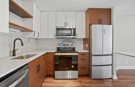 1 Bedroom South Loop Apartment
