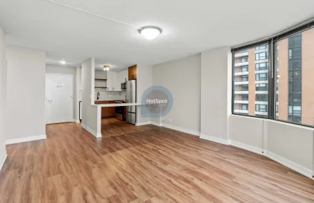 1 Bedroom South Loop Apartment