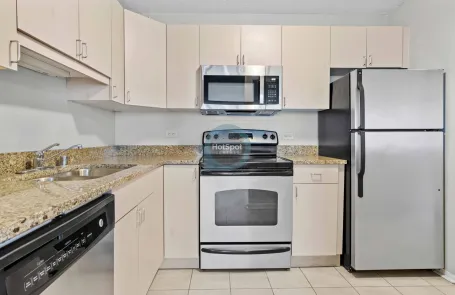 1 Bedroom South Loop Apartment