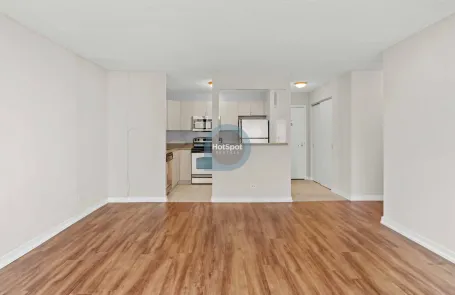 1 Bedroom South Loop Apartment