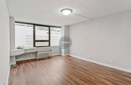 1 Bedroom South Loop Apartment