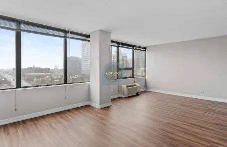 1 Bedroom South Loop Apartment