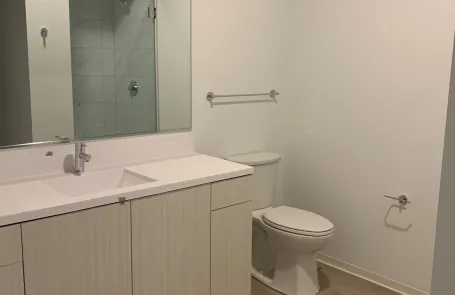1 Bedroom South Loop Apartment