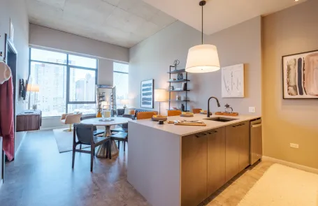 1 Bedroom West Loop Apartment