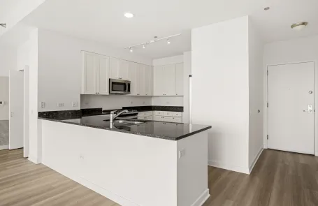 2 Bedroom Printer&#039;s Row Apartment