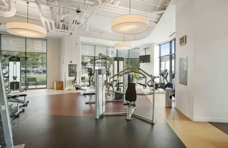 1 Bedroom South Loop Apartment