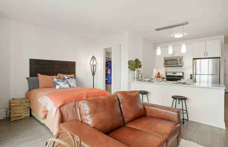 Studio South Loop Apartment