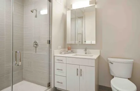 1 Bedroom South Loop Apartment