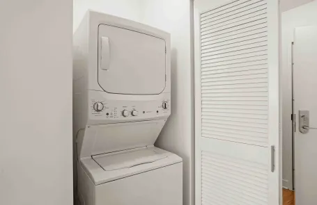 1 Bedroom South Loop Apartment