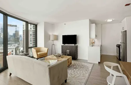 1 Bedroom South Loop Apartment