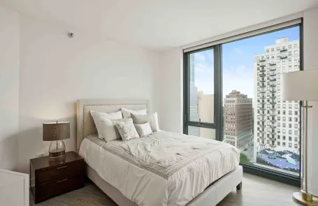 1 Bedroom South Loop Apartment