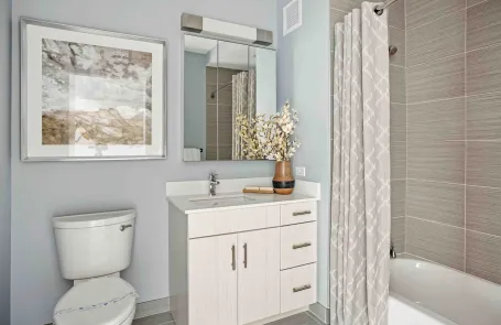 2 Bedroom South Loop Apartment